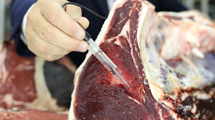 Lettura del pH su una carne in frollatura